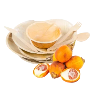 Areca